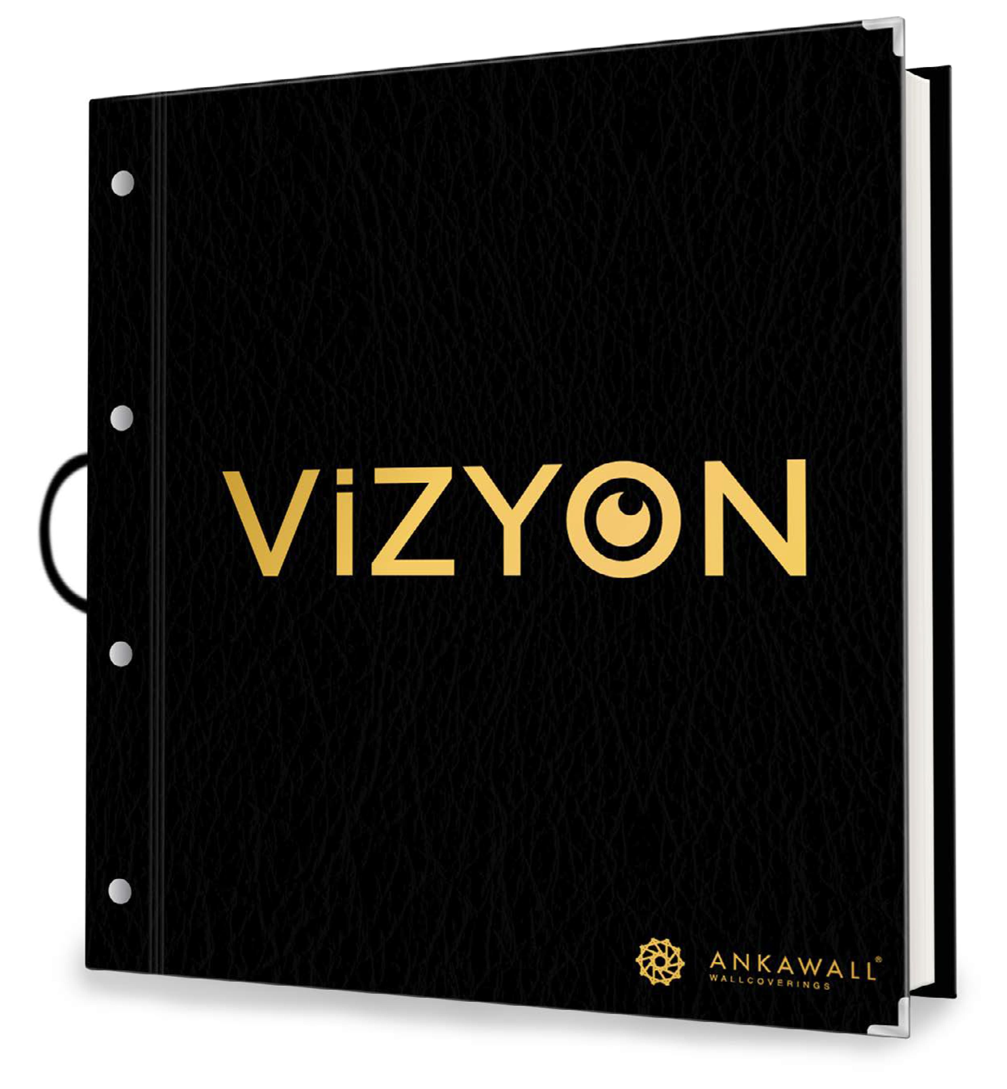 VİZYON